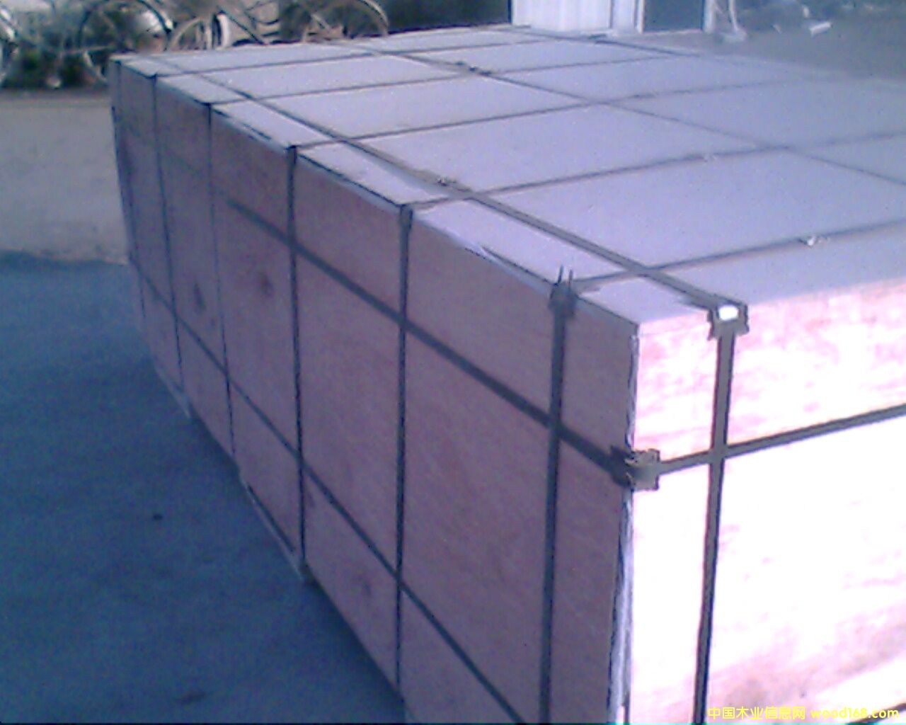 �ٻ������ϸ����