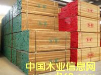 ����鿴�����ں��Ұ�ķŴ�ͼƬ