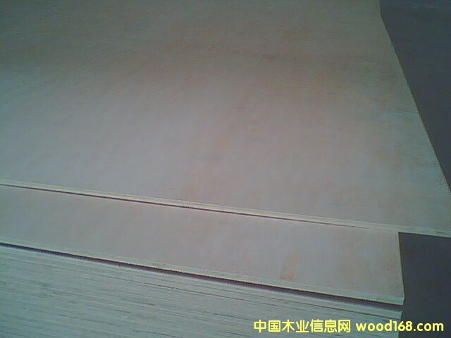 ����˫��������ϸ����