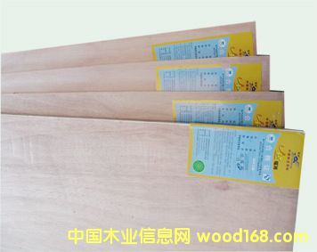 ����鿴EO��ķŴ�ͼƬ