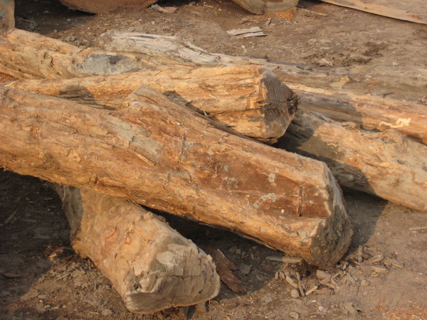 ����鿴�ڻ�̴(ţ��ľ)�Ŵ�ͼƬ