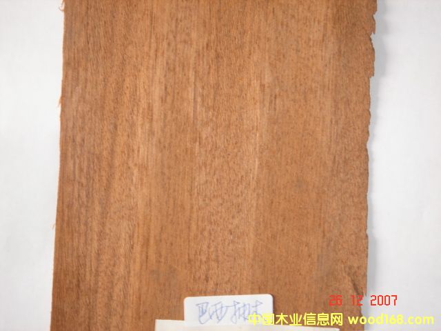 ������ľ