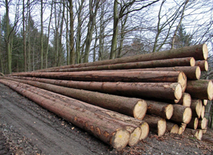 ����鿴��ɼԭľ�Ŵ�ͼƬ