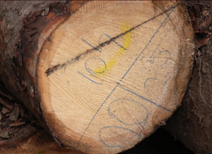 ����鿴��ɼԭľ�Ŵ�ͼƬ