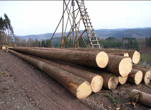 ����鿴��ɼԭľ�Ŵ�ͼƬ