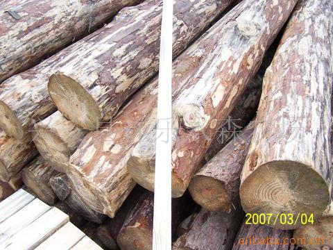 ��ľ����ϸ����