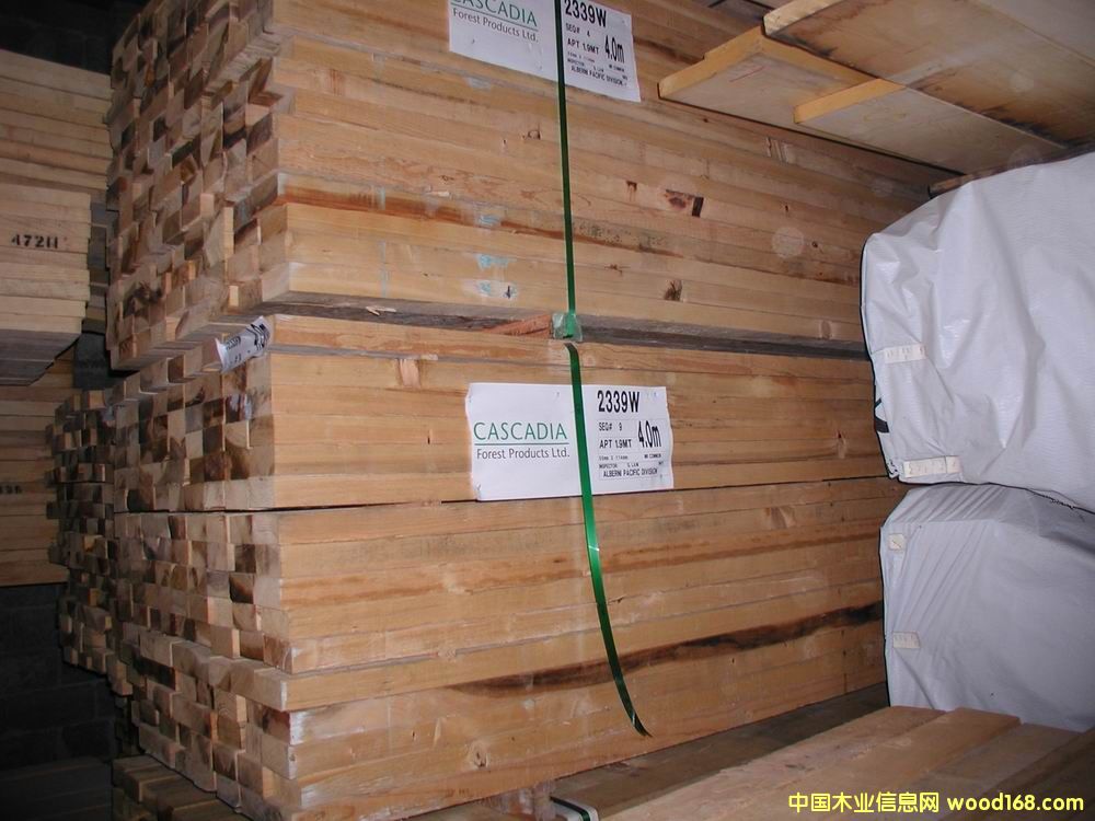 ����鿴��ɼ�Ŵ�ͼƬ