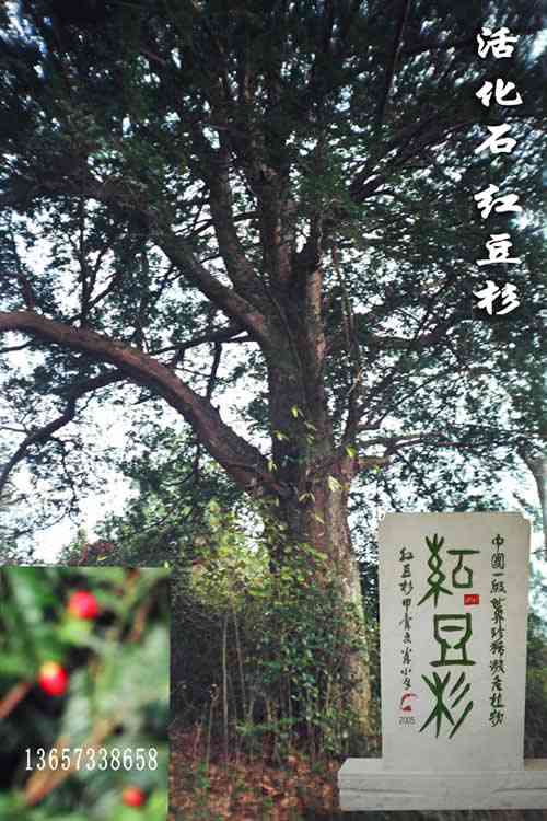 ����鿴���غ춹ɼ�Ŵ�ͼƬ