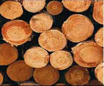 ����鿴��������������ľ�Ŵ�ͼƬ