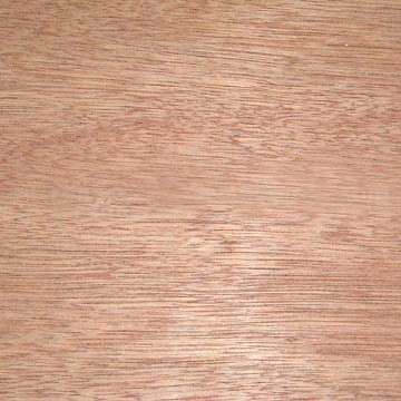 鿴bintaqorplywoodŴͼƬ