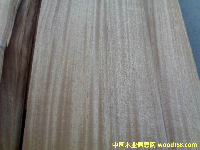 ����鿴�һ���ľƤ�Ŵ�ͼƬ