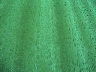 ����鿴�һ��ķŴ�ͼƬ