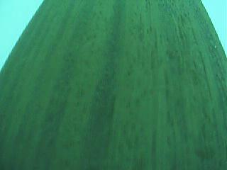 ����鿴����ľ����ϸ����