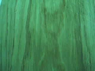 ����鿴�ں��һ��Ƶ���ϸ����