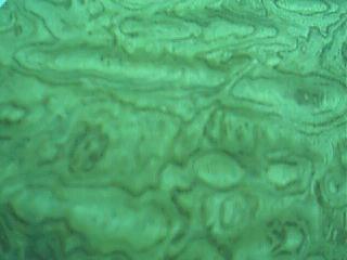 ����鿴���ƻ������ϸ����