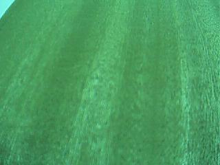 ����鿴ɳ����ֱ�ƷŴ�ͼƬ