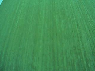 ����鿴���������ϸ����