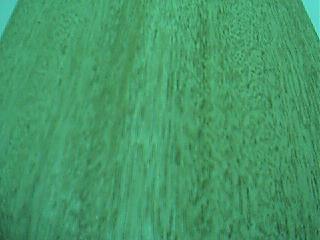 ����鿴�һ���2�Ŵ�ͼƬ