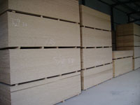 �ٻ������ϸ����