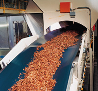 ����鿴С��Ƥ���Ŵ�ͼƬ