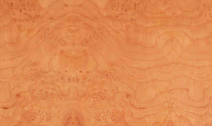 ����鿴MDF��תӡĤ����ϸ����