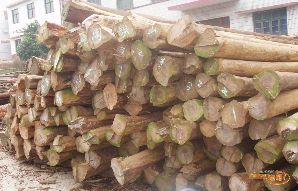 ����鿴ɼľ�Ŵ�ͼƬ