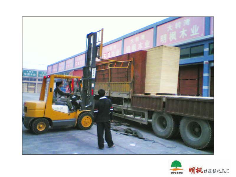 ����鿴����ģ����ϸ����