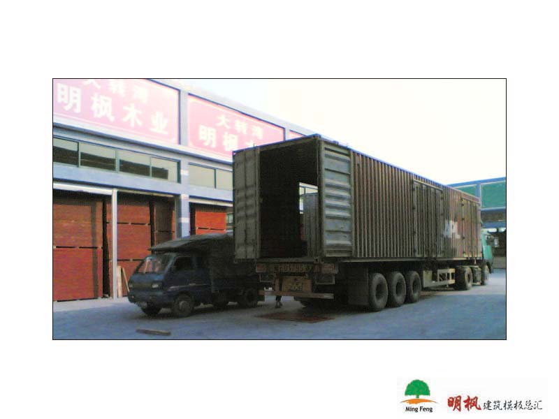 ����鿴����ģ����ϸ����