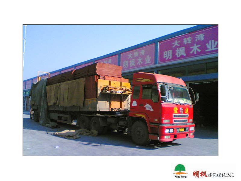 ����鿴����ģ����ϸ����