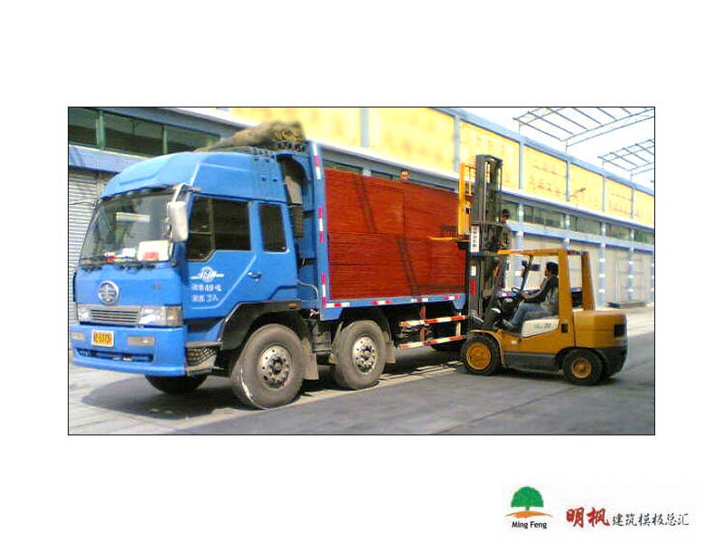 ����鿴����ģ����ϸ����