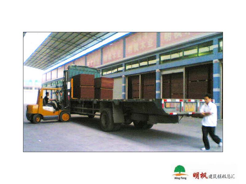 ����鿴����ģ����ϸ����