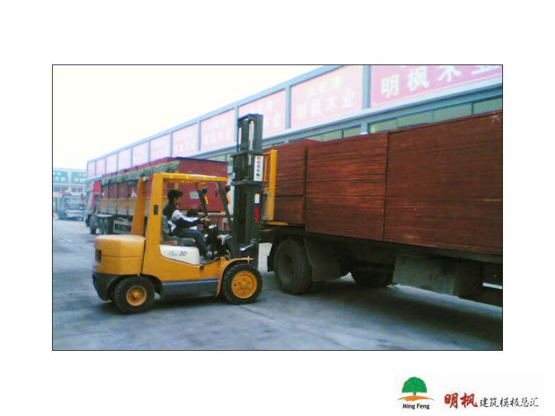 ����鿴����ģ����ϸ����