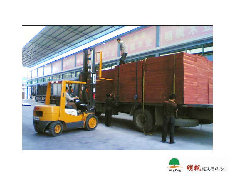 ����鿴����ģ����ϸ����