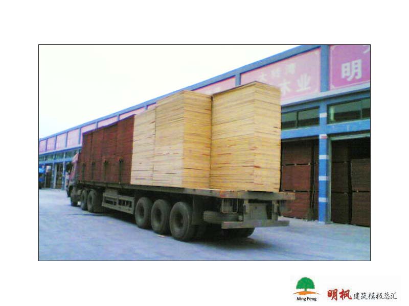 ����鿴����ģ����ϸ����