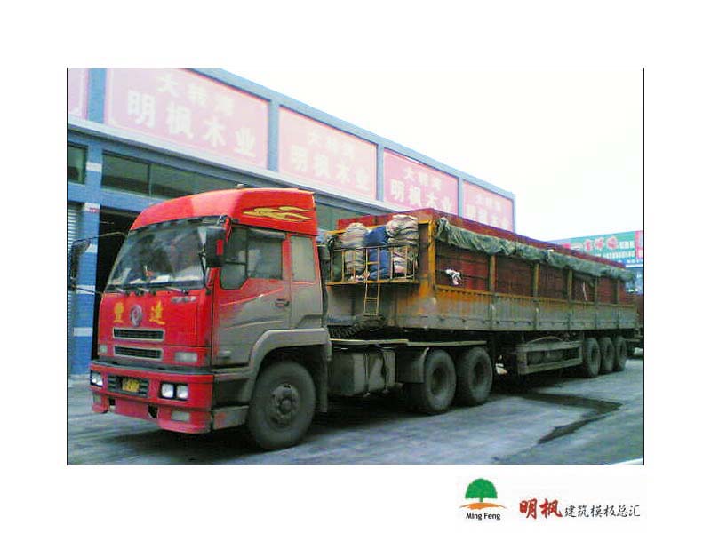 ����鿴����ģ����ϸ����