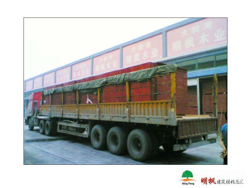 ����鿴����ģ����ϸ����