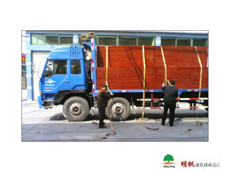 ����鿴����ģ����ϸ����