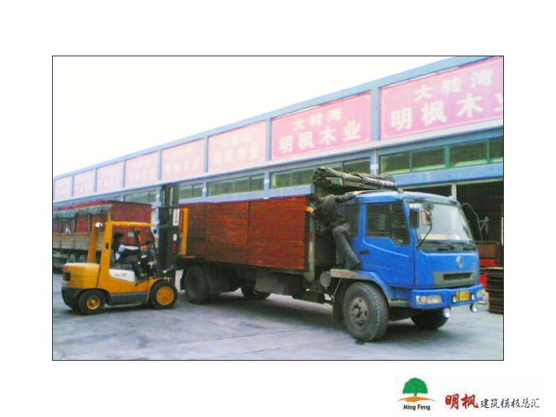 ����鿴����ģ����ϸ����