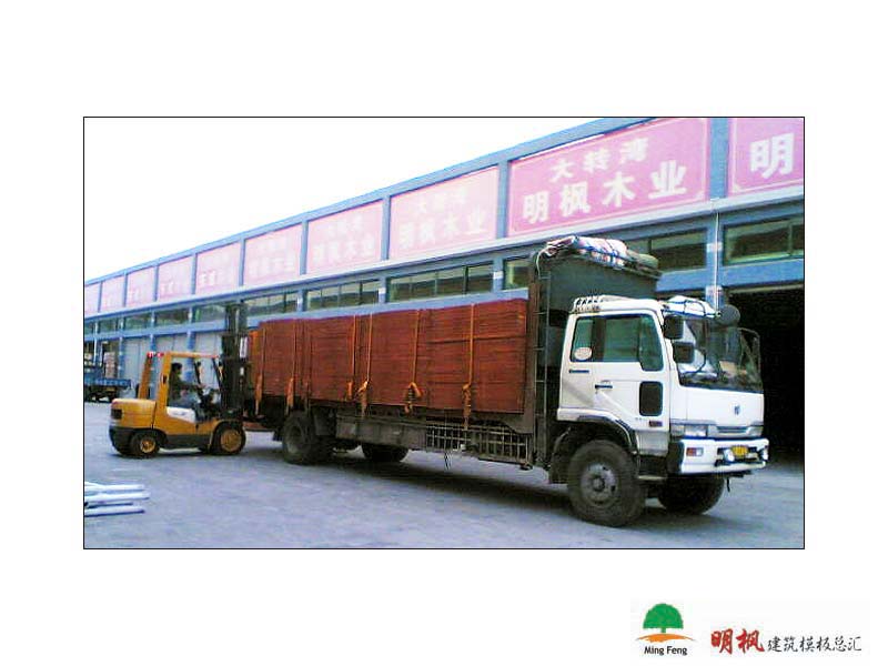 ����鿴����ģ����ϸ����