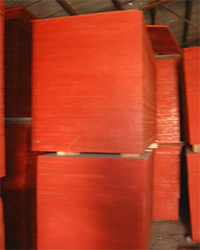 ����鿴����ģ��Ŵ�ͼƬ