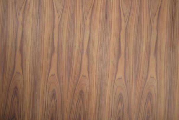 ������֦�����