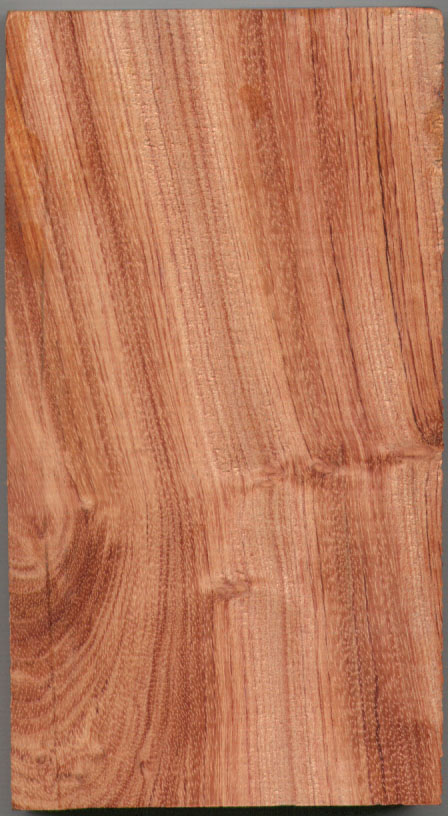 ����鿴���޺컨��Ŵ�ͼƬ