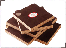 ����ģ�����ϸ����