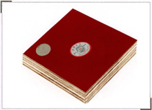 ����ģ�����ϸ����