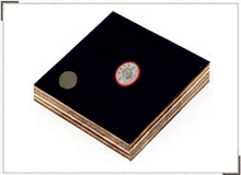 ����ģ�����ϸ����