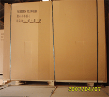 ���ϰ����ϸ����