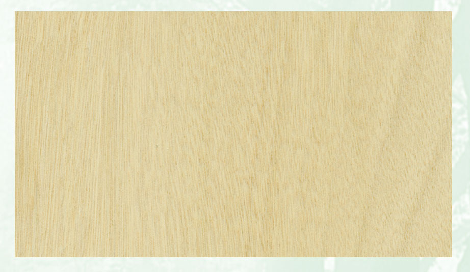 ���ϰ����ϸ����