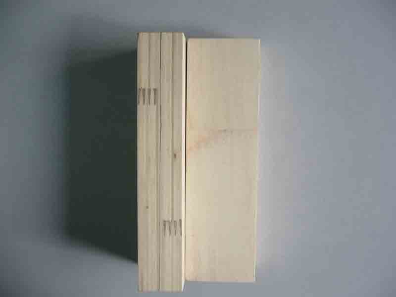 ����鿴��ľLVL�Ŵ�ͼƬ