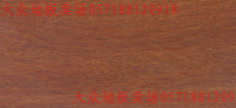 ����鿴����ᶹʵľ�ذ����ϸ����