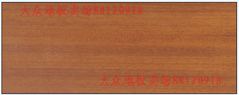 ����鿴ɳ�������ʵľ�ذ�Ŵ�ͼƬ